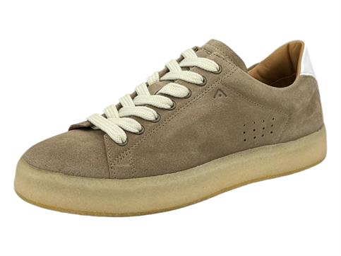 ambitious 13410 taupe sneakers camoscio uomo para