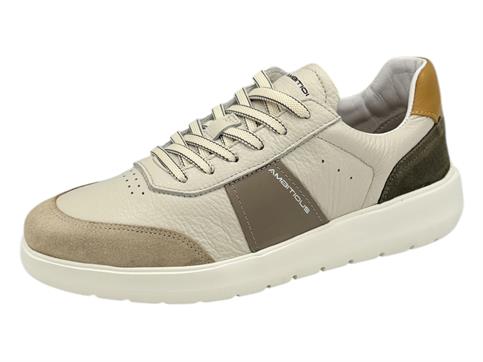 ambitious 12863 taupe sneakers pelle uomo extraliht
