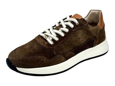 ambitious 14301 marrone sneakers camoscio uomo
