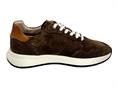 ambitious 14301 marrone sneakers camoscio uomo