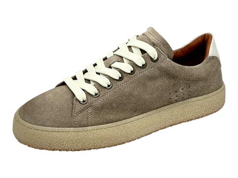 ambitious 13971 taupe sneakers camoscio  uomo