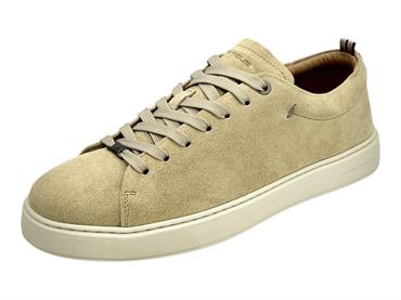 ambitious 13797  beige sneakers camosci uomo