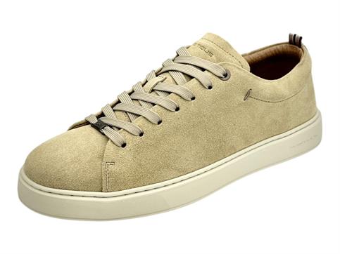 ambitious 13797  beige sneakers camosci uomo