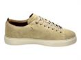 ambitious 13797  beige sneakers camosci uomo