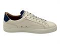 ambitious 11218 beige sneakers uomo pelle